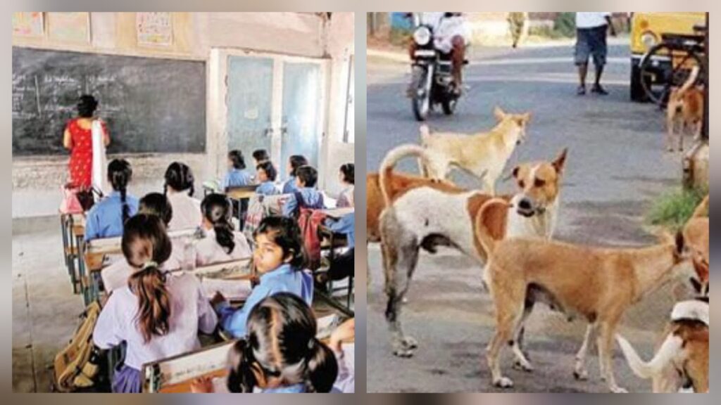 बड़ी ख़बर : छत्तीसगढ़ में सरकारी आदेश पर बवाल, पढ़ाने के साथ आवारा कुत्तों की निगरानी करेंगे शिक्षक !